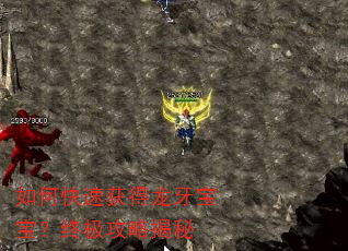 如何快速获得龙牙宝宝?终极攻略揭秘 如何快速获得龙牙宝宝?终极攻略揭秘
