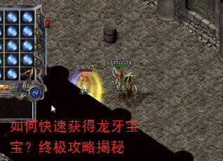 如何快速获得龙牙宝宝?终极攻略揭秘 如何快速获得龙牙宝宝?终极攻略揭秘