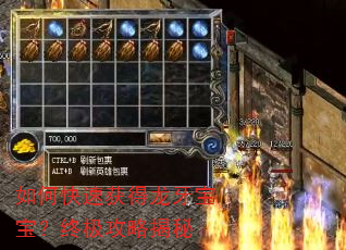如何快速获得龙牙宝宝?终极攻略揭秘 如何快速获得龙牙宝宝?终极攻略揭秘