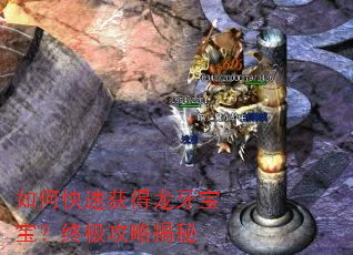 如何快速获得龙牙宝宝?终极攻略揭秘 如何快速获得龙牙宝宝?终极攻略揭秘