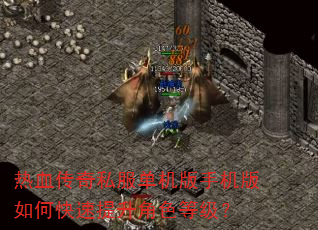 热血传奇私服单机版手机版如何快速提升角色等级? 热血传奇私服单机版手机版如何快速提升角色等级?