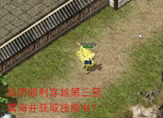 如何顺利穿越第三层冥海并获取技能书? 如何顺利穿越第三层冥海并获取技能书?