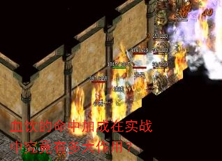 血饮的命中加成在实战中究竟有多大作用? 血饮的命中加成在实战中究竟有多大作用?