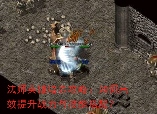 法师英雄培养攻略:如何高效提升战力与技能搭配? 法师英雄培养攻略:如何高效提升战力与技能搭配?