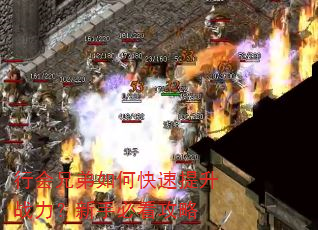 行会兄弟如何快速提升战力?新手必看攻略 行会兄弟如何快速提升战力?新手必看攻略