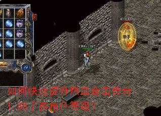 如何快速提升热血合击传奇1.85手游角色等级? 如何快速提升热血合击传奇1.85手游角色等级?