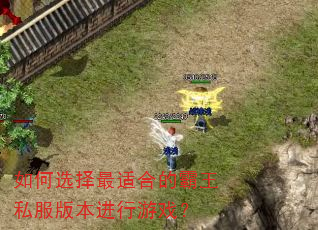 如何选择最适合的霸王私服版本进行游戏? 如何选择最适合的霸王私服版本进行游戏?