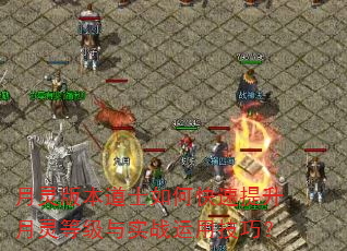 月灵版本道士如何快速提升月灵等级与实战运用技巧? 月灵版本道士如何快速提升月灵等级与实战运用技巧?