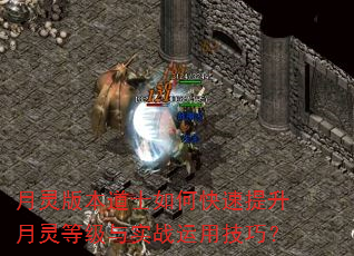月灵版本道士如何快速提升月灵等级与实战运用技巧? 月灵版本道士如何快速提升月灵等级与实战运用技巧?