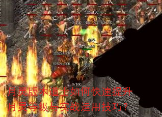 ����汾��ʿ��ο�����������ȼ���ʵս���ü��ɣ�