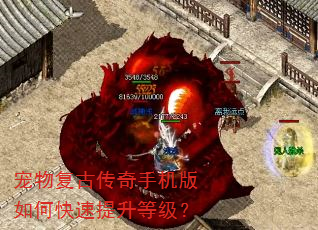 宠物复古传奇手机版如何快速提升等级? 宠物复古传奇手机版如何快速提升等级?