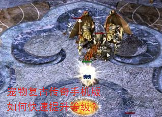 宠物复古传奇手机版如何快速提升等级? 宠物复古传奇手机版如何快速提升等级?
