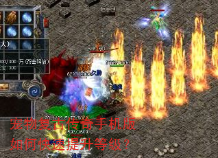 宠物复古传奇手机版如何快速提升等级? 宠物复古传奇手机版如何快速提升等级?