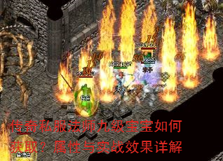 传奇私服法师九级宝宝如何获取?属性与实战效果详解 传奇私服法师九级宝宝如何获取?属性与实战效果详解