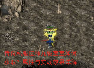 传奇私服法师九级宝宝如何获取?属性与实战效果详解 传奇私服法师九级宝宝如何获取?属性与实战效果详解