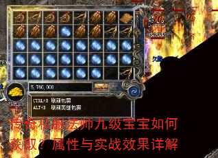 ����˽����ʦ�ż�������λ�ȡ��������ʵսЧ�����