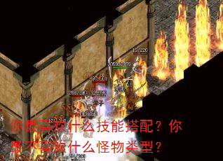 ����ϲ��ʲô���ܴ��䣿���ϲ��ʲô�������ͣ�
