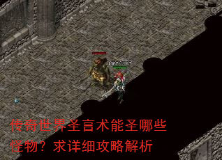 传奇世界圣言术能圣哪些怪物?求详细攻略解析 传奇世界圣言术能圣哪些怪物?求详细攻略解析