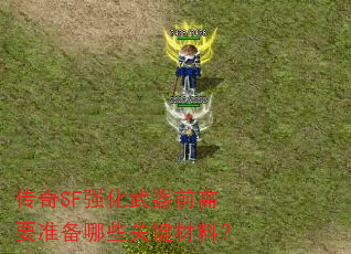 ����SFǿ������ǰ��Ҫ׼����Щ�ؼ����ϣ�