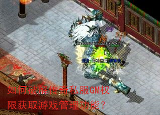 ����ƽ⴫��˽��GMȨ�޻�ȡ��Ϸ�������ܣ�