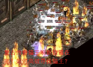 复古传奇猫王刷新位置在哪?如何高效寻找猫王? 复古传奇猫王刷新位置在哪?如何高效寻找猫王?