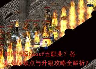如何选择haosf五职业?各职业优缺点与升级攻略全解析? 如何选择haosf五职业?各职业优缺点与升级攻略全解析?