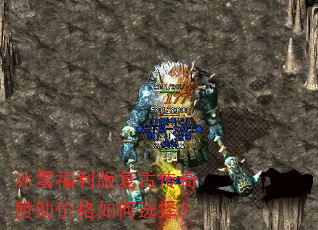 ��ѩ�����渴�Ŵ��������۸����ѡ��