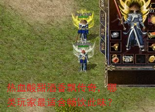��Ѫ�������Ʈ���棬����������ʺϳ�����ζ��