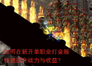 如何在新开单职业打金服快速提升战力与收益? 如何在新开单职业打金服快速提升战力与收益?