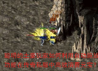聪明的土豪玩家如何利用自动施放功能在传奇私服中高效消费元宝? 聪明的土豪玩家如何利用自动施放功能在传奇私服中高效消费元宝?