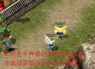 如何在不升级的变态传奇私服中高效获取顶级装备与资源? 如何在不升级的变态传奇私服中高效获取顶级装备与资源?