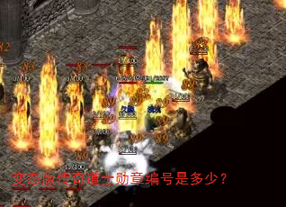 变态版传奇道士勋章编号是多少? 变态版传奇道士勋章编号是多少?