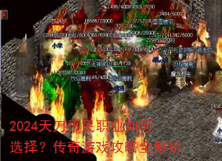 2024�쵶ƽ��ְҵ���ѡ�񣿴�����Ϸ����ȫ����