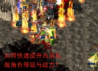 如何快速提升西游私服角色等级与战力? 如何快速提升西游私服角色等级与战力?