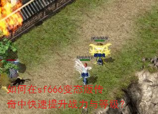 �����sf666��̬�洫���п�������ս����ȼ���