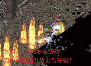 �����sf666��̬�洫���п�������ս����ȼ���