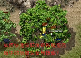 如何快速获取传奇私服变态版中的顶级装备与技能? 如何快速获取传奇私服变态版中的顶级装备与技能?