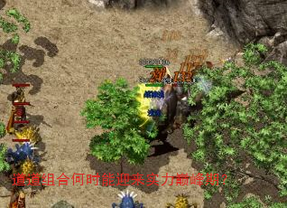 道道组合何时能迎来实力巅峰期? 道道组合何时能迎来实力巅峰期?