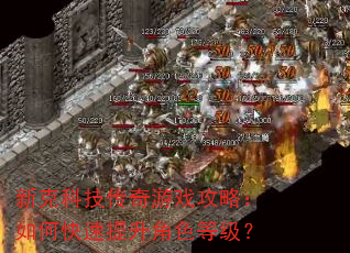 新克科技传奇游戏攻略:如何快速提升角色等级? 新克科技传奇游戏攻略:如何快速提升角色等级?