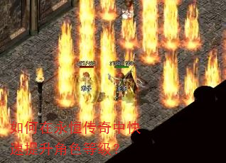 如何在永恒传奇中快速提升角色等级? 如何在永恒传奇中快速提升角色等级?