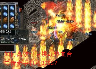 如何高效组队挑战热血合击传奇手机版BOSS? 如何高效组队挑战热血合击传奇手机版BOSS?