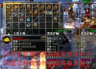 如何在梦想世界私服变态版本中快速提升战力与获取稀有装备? 如何在梦想世界私服变态版本中快速提升战力与获取稀有装备?