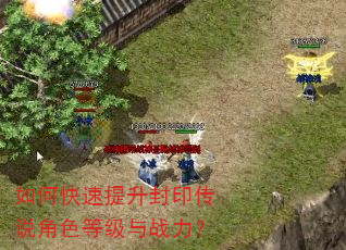 如何快速提升封印传说角色等级与战力? 如何快速提升封印传说角色等级与战力?