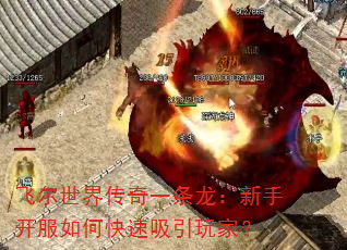 飞尔世界传奇一条龙:新手开服如何快速吸引玩家? 飞尔世界传奇一条龙:新手开服如何快速吸引玩家?