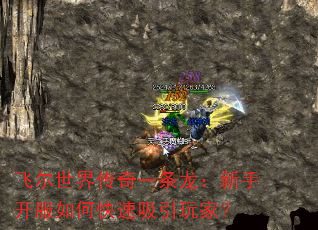 飞尔世界传奇一条龙:新手开服如何快速吸引玩家? 飞尔世界传奇一条龙:新手开服如何快速吸引玩家?