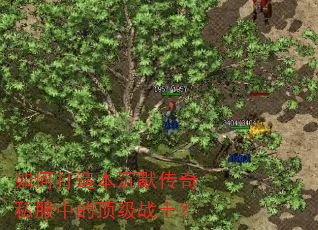 如何打造本沉默传奇私服中的顶级战士? 如何打造本沉默传奇私服中的顶级战士?