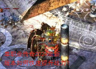 ��ְҵ����2024���°汾��ο�������ս����