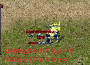 如何快速提升角色等级?传奇游戏新手必备攻略指南 如何快速提升角色等级?传奇游戏新手必备攻略指南