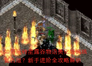 如何玩转星露谷物语美化版枫姨复古版?新手进阶全攻略解析 如何玩转星露谷物语美化版枫姨复古版?新手进阶全攻略解析