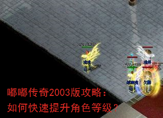 嘟嘟传奇2003版攻略:如何快速提升角色等级? 嘟嘟传奇2003版攻略:如何快速提升角色等级?